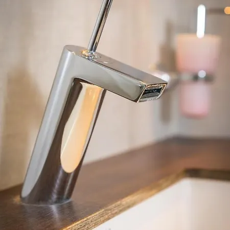 塔纳高山度假村 迈尔霍芬